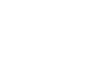 465+ Universidad de México